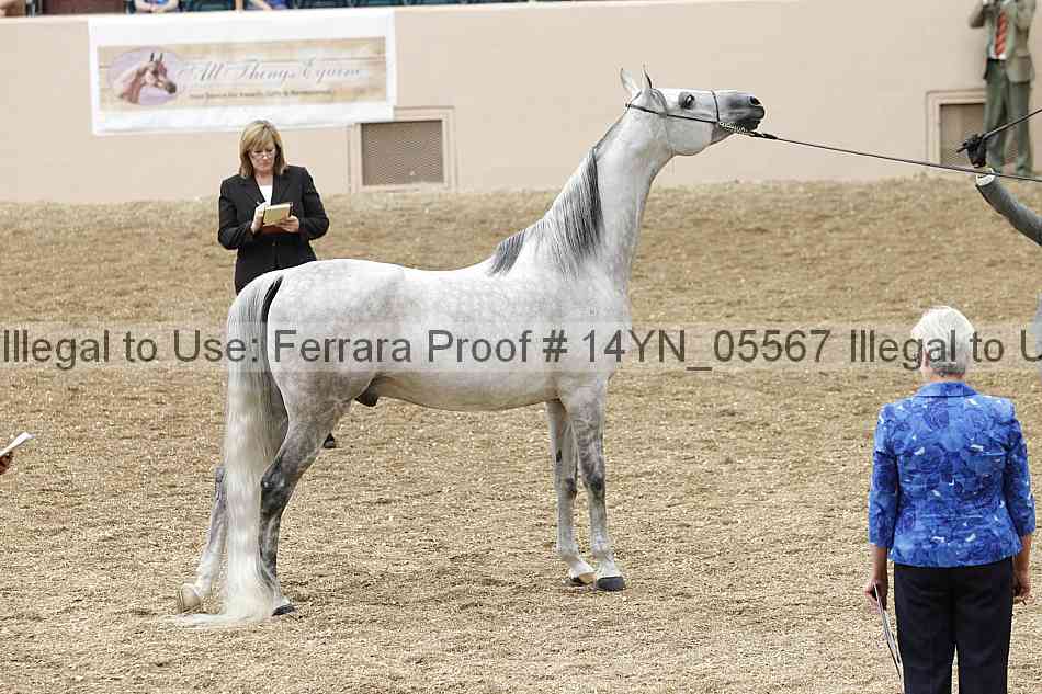 Proof 14yn_05567