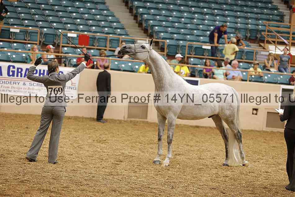 Proof 14yn_05571