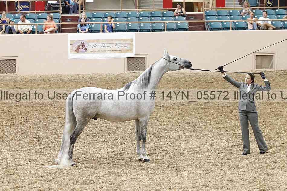 Proof 14yn_05572