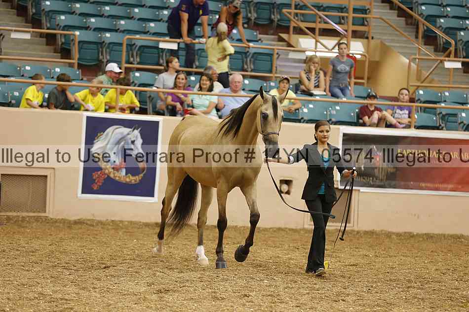 Proof 14yn_05574