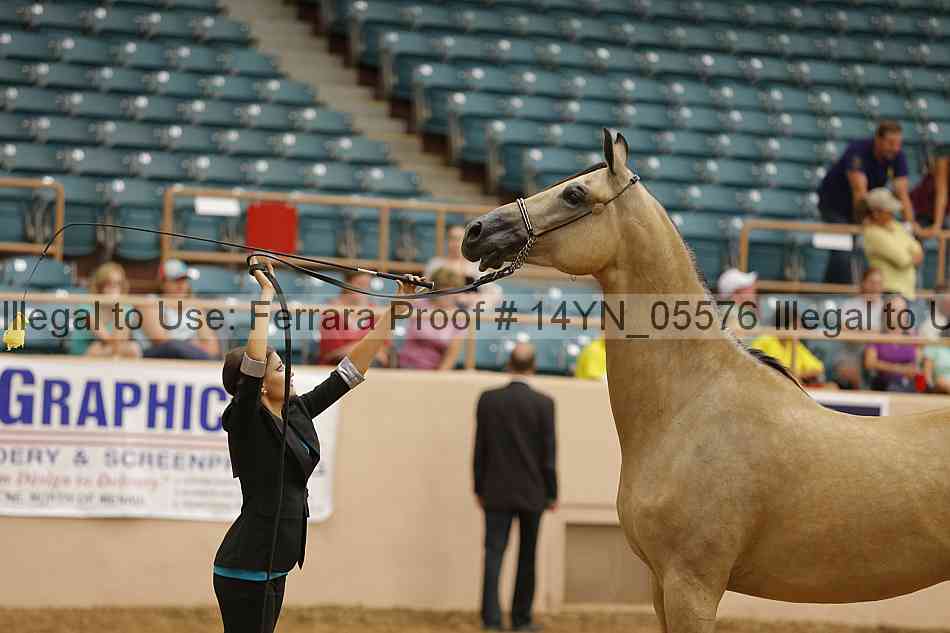 Proof 14yn_05576