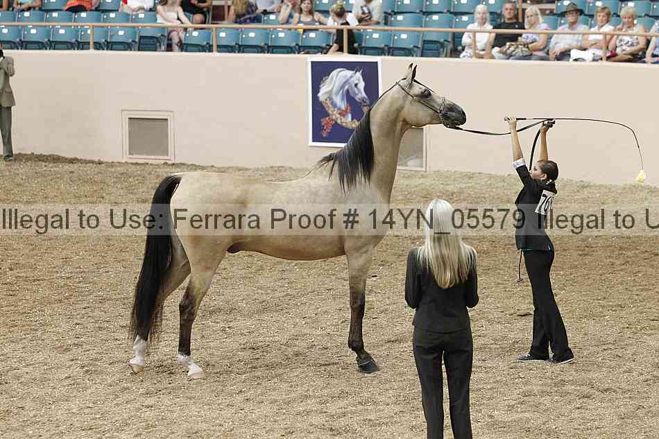 Proof 14yn_05579
