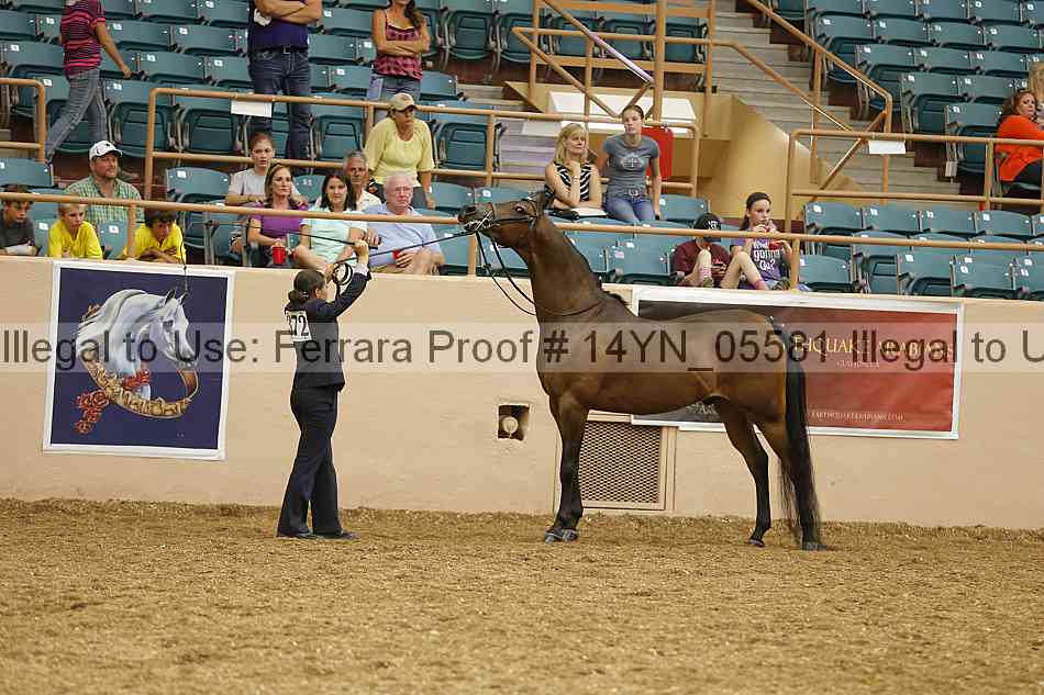 Proof 14yn_05581
