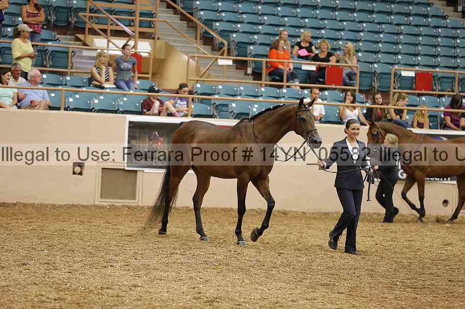 Proof 14yn_05582
