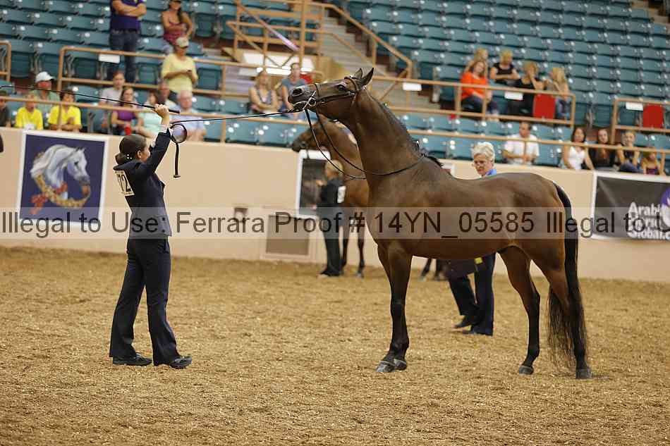 Proof 14yn_05585