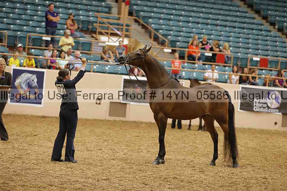 Proof 14yn_05586