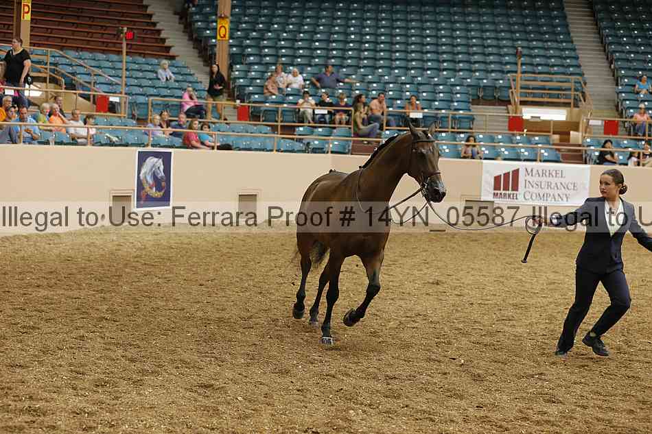 Proof 14yn_05587
