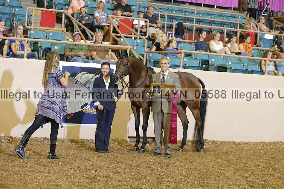 Proof 14yn_05588