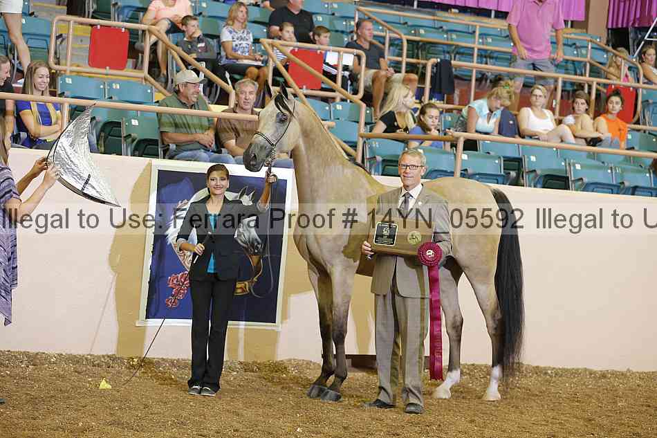 Proof 14yn_05592