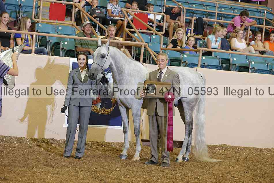 Proof 14yn_05593