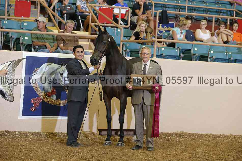 Proof 14yn_05597