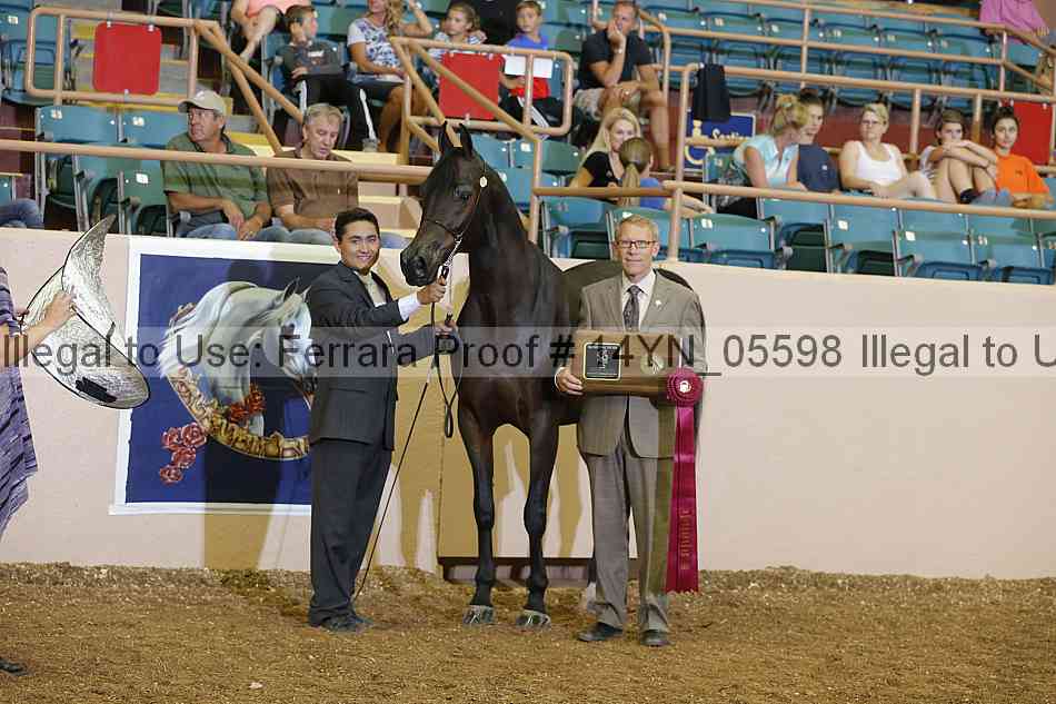 Proof 14yn_05598