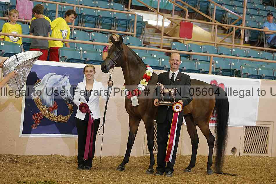 Proof 14yn_05604