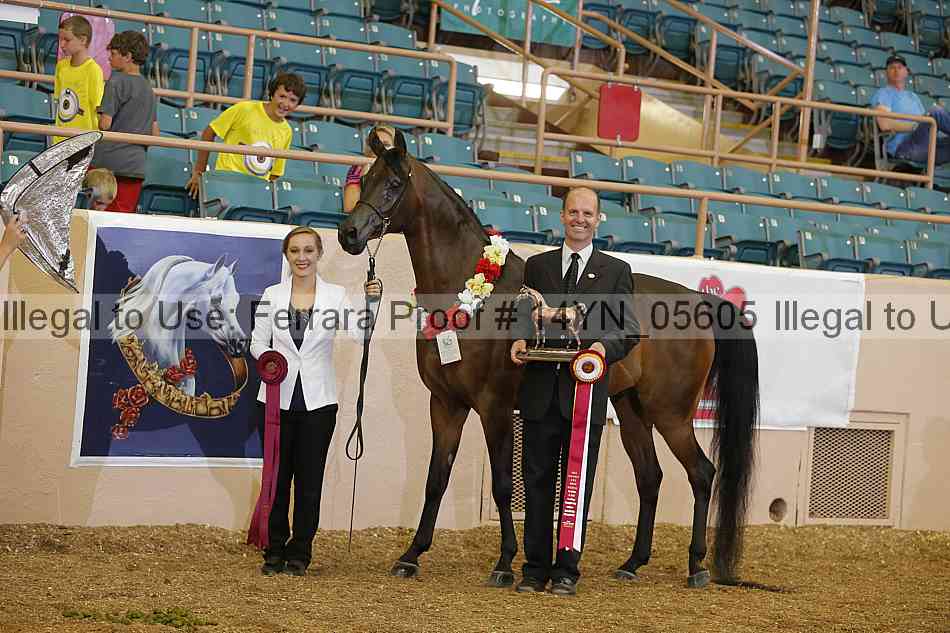 Proof 14yn_05605