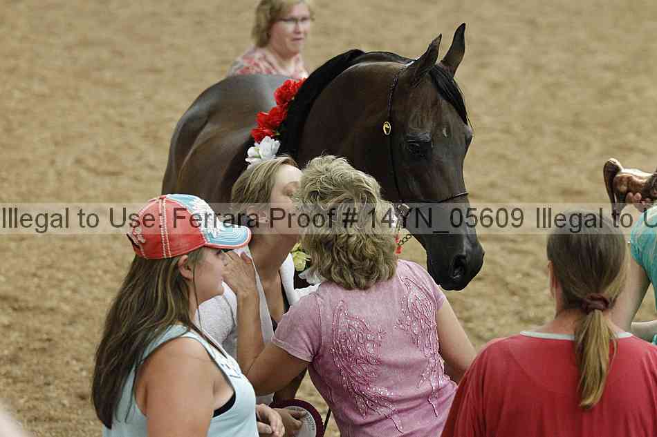 Proof 14yn_05609