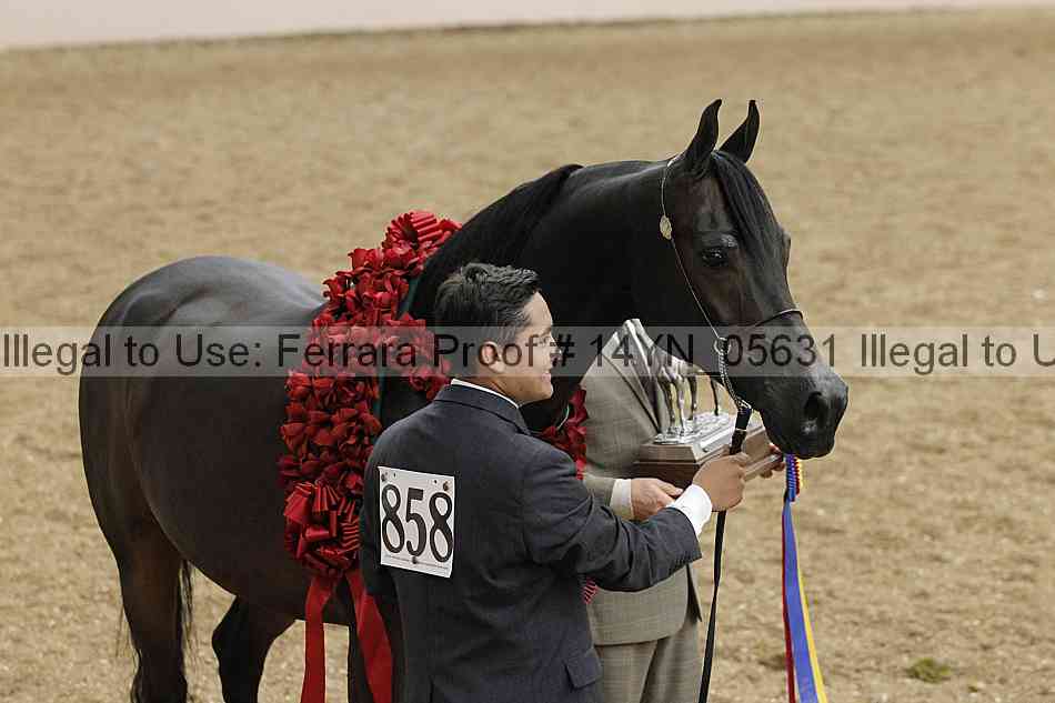 Proof 14yn_05631
