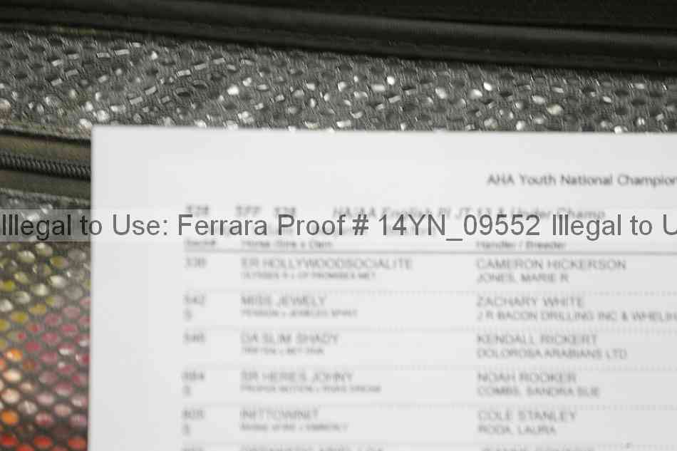 Proof 14yn_09552