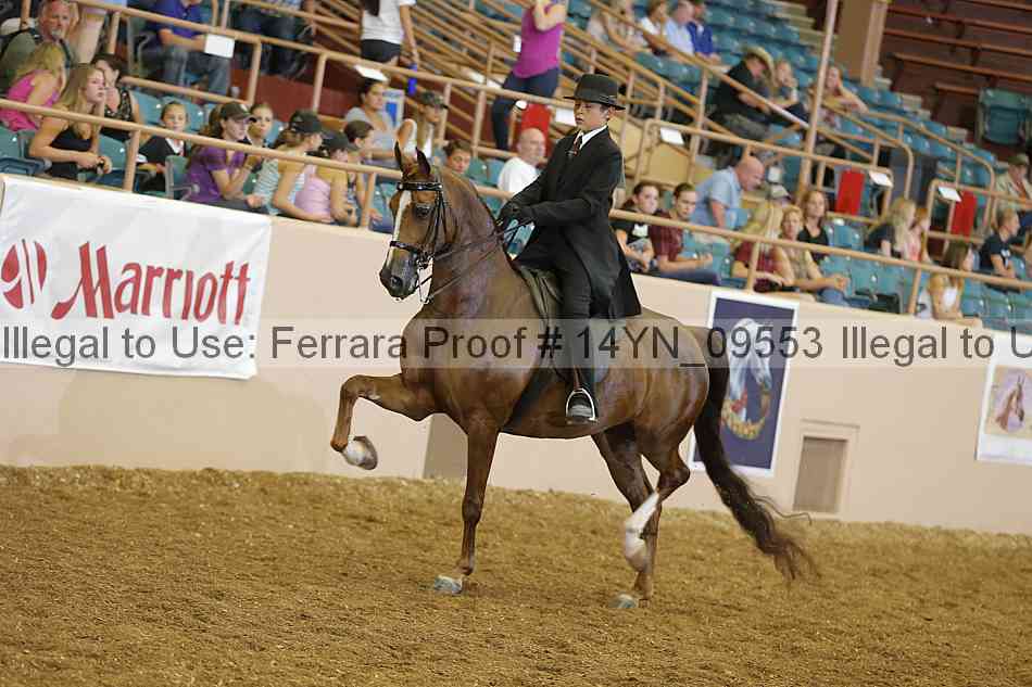 Proof 14yn_09553