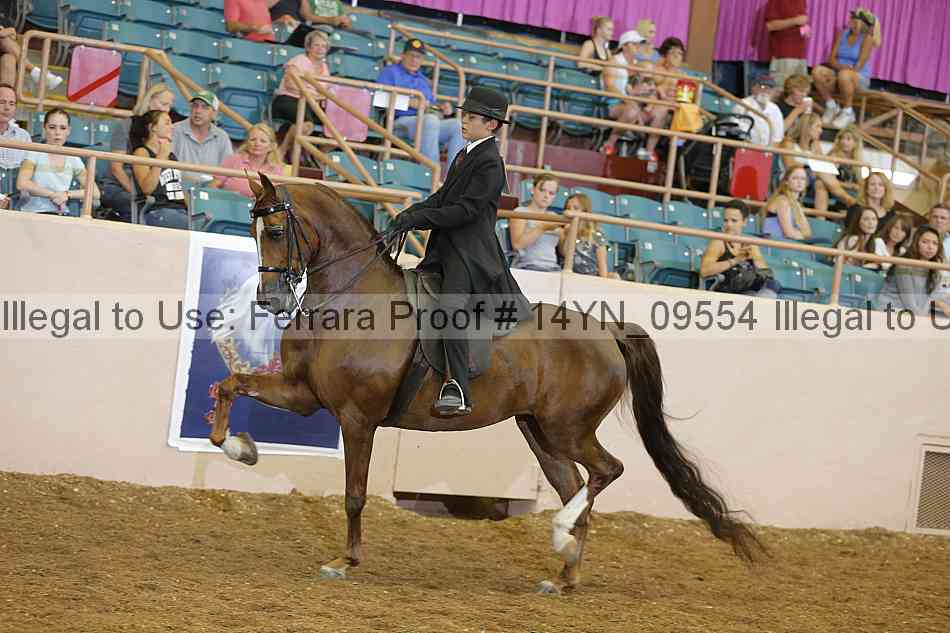 Proof 14yn_09554