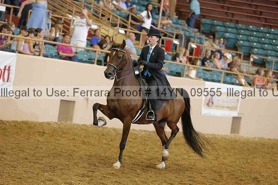 Proof 14yn_09555