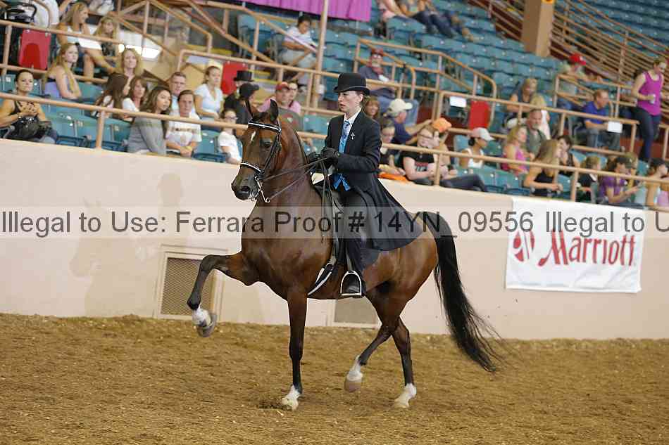 Proof 14yn_09556