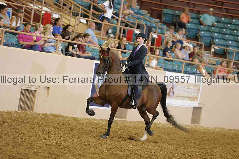 Proof 14yn_09557
