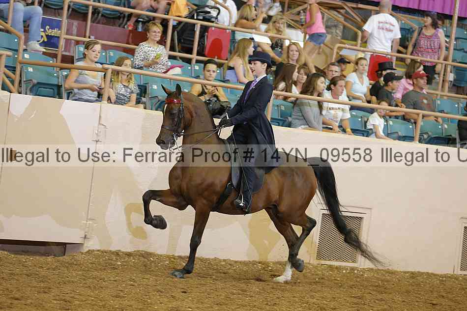Proof 14yn_09558