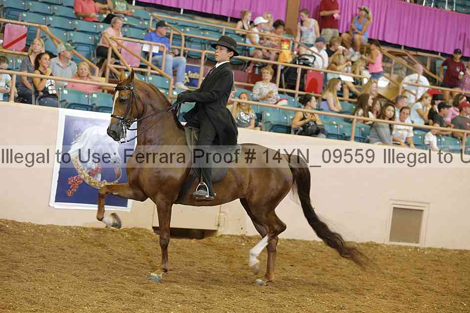 Proof 14yn_09559