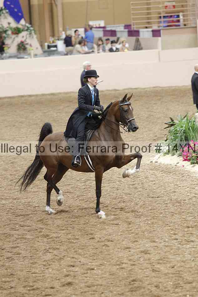 Proof 14yn_09560