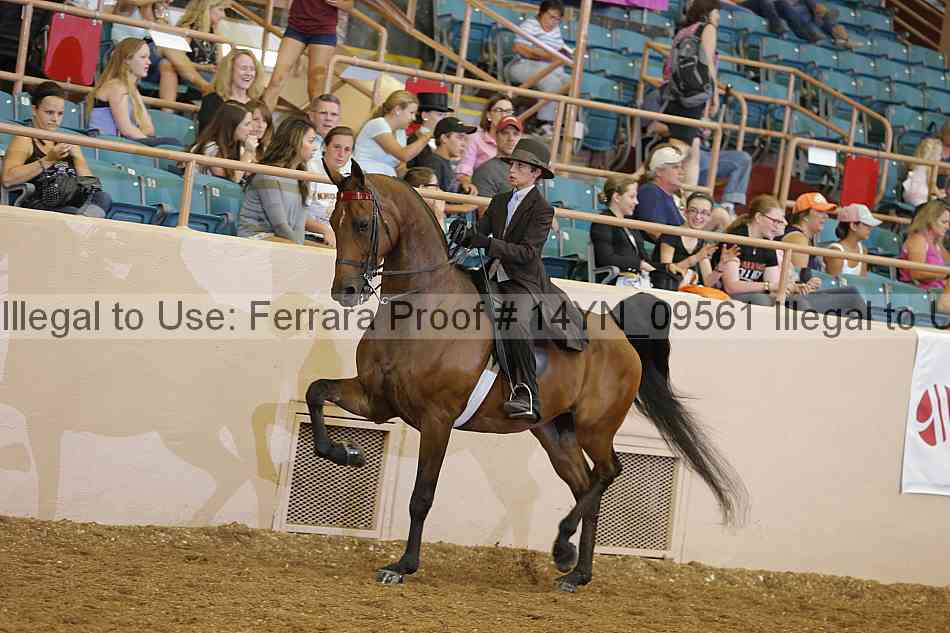Proof 14yn_09561