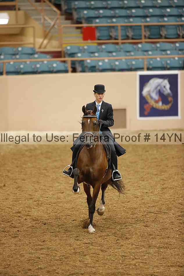 Proof 14yn_09562