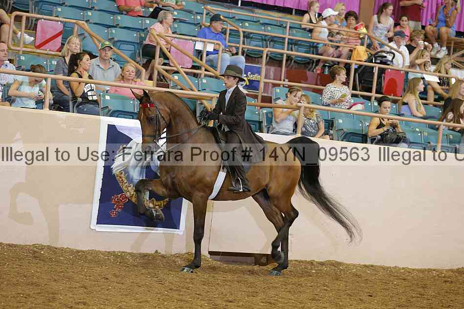 Proof 14yn_09563