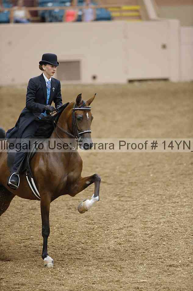 Proof 14yn_09564