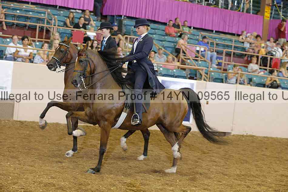 Proof 14yn_09565