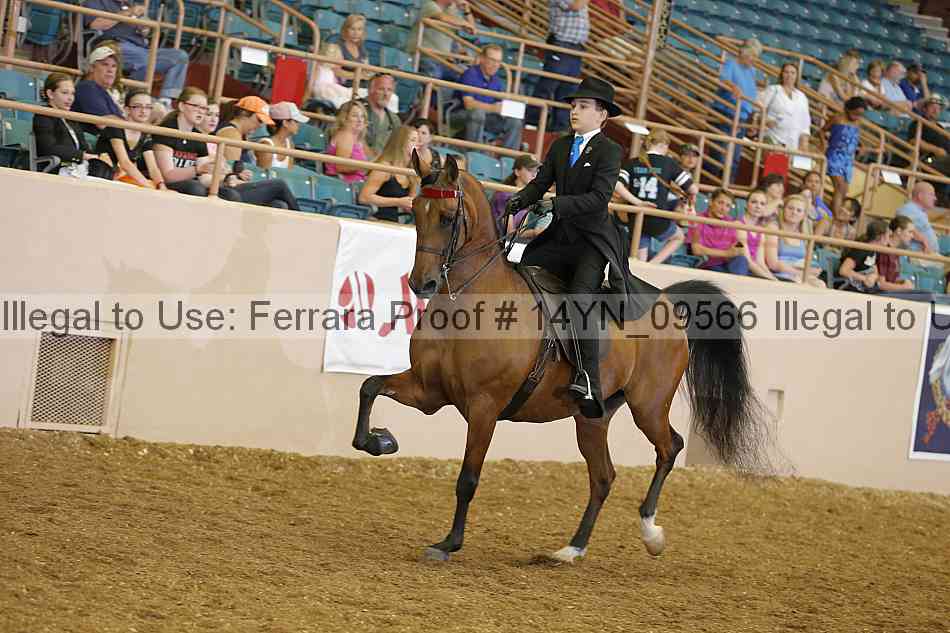 Proof 14yn_09566
