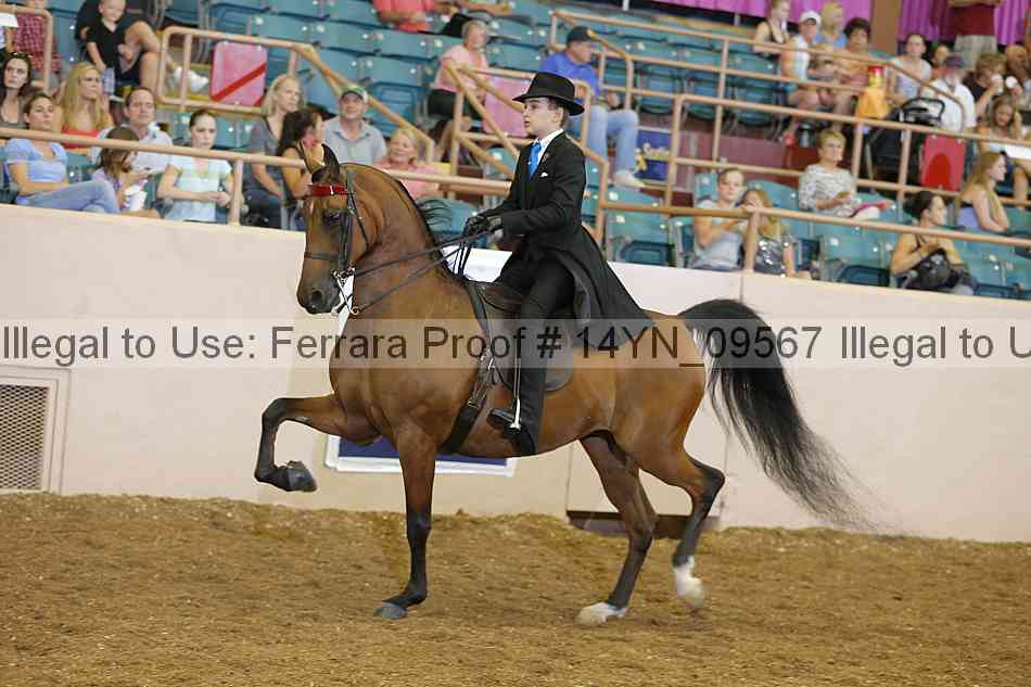 Proof 14yn_09567