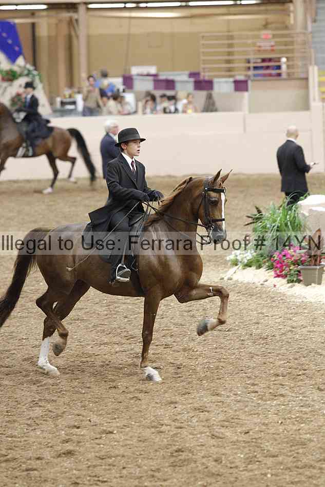 Proof 14yn_09568