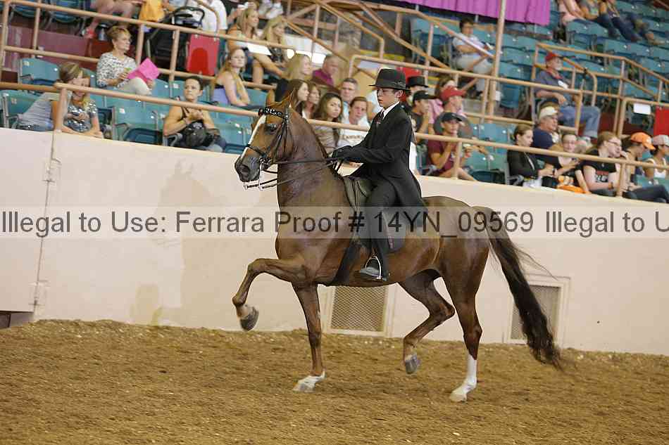 Proof 14yn_09569