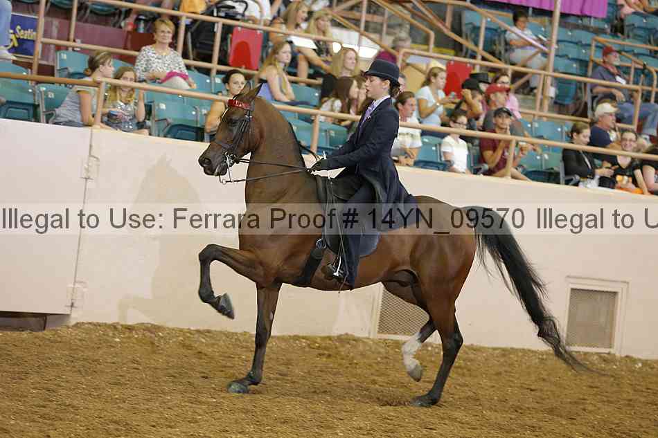 Proof 14yn_09570