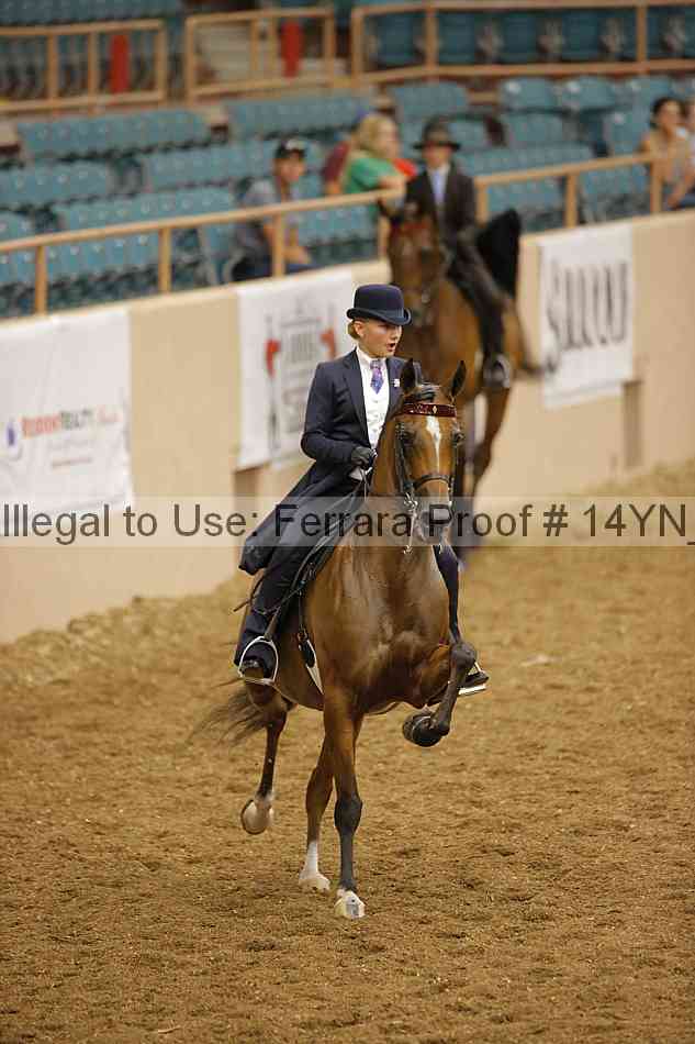 Proof 14yn_09571