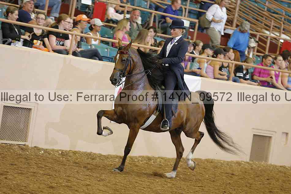 Proof 14yn_09572