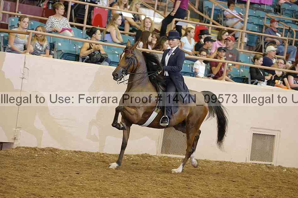 Proof 14yn_09573