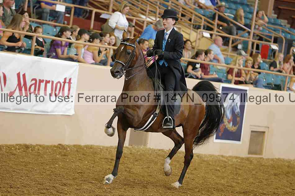 Proof 14yn_09574