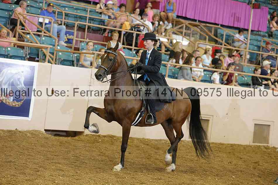 Proof 14yn_09575