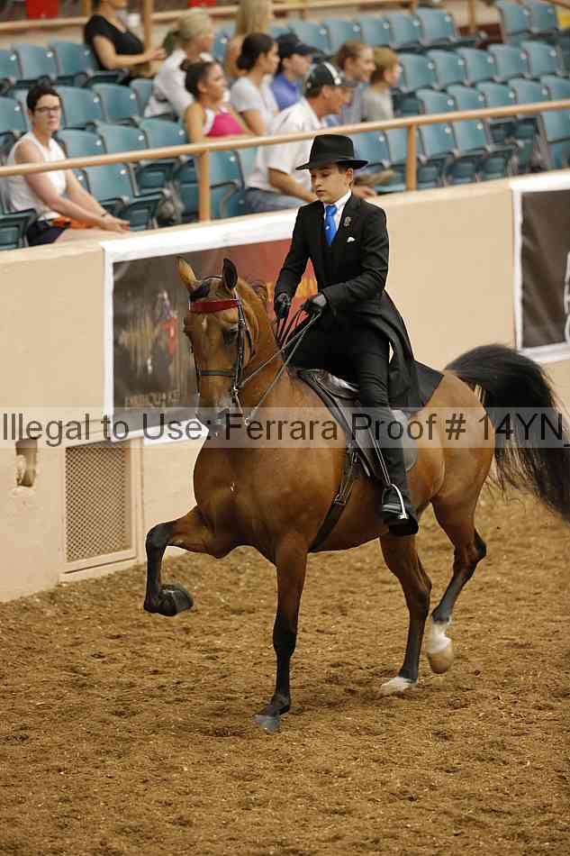 Proof 14yn_09576