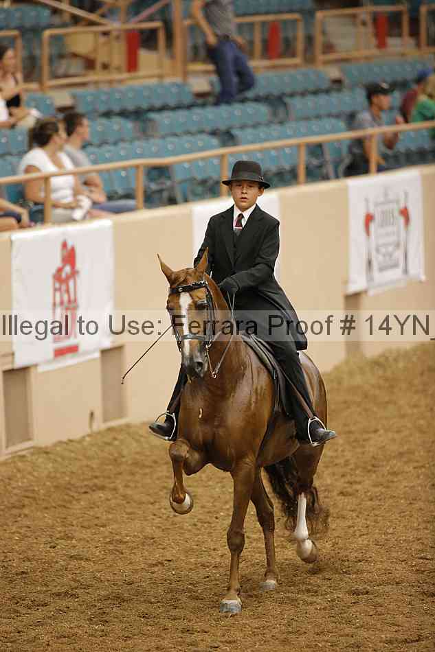 Proof 14yn_09577