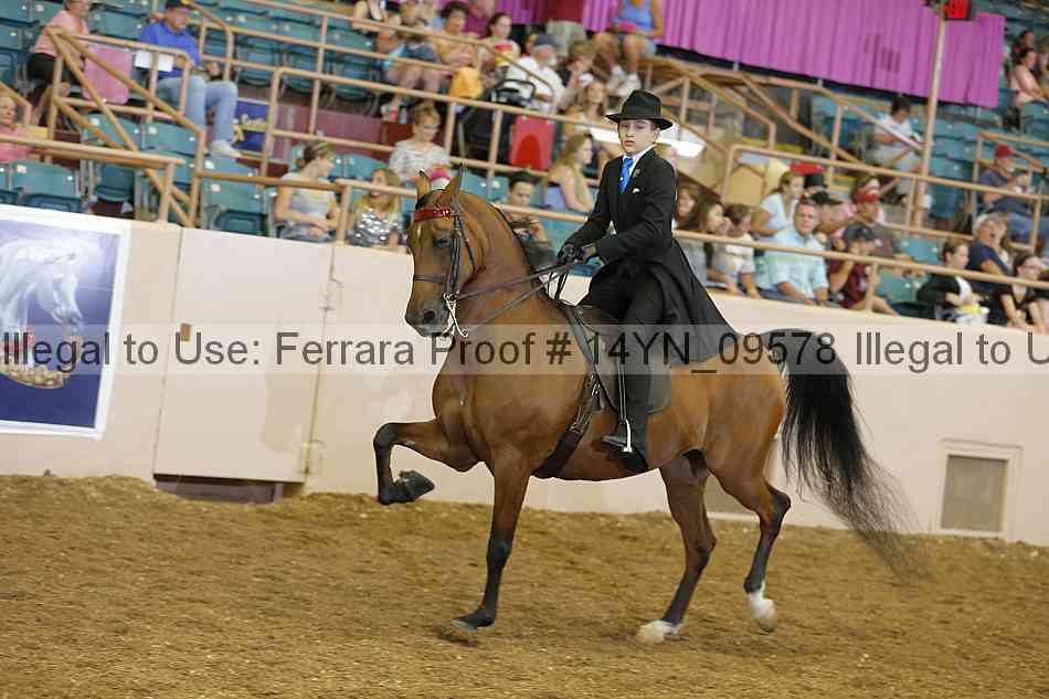 Proof 14yn_09578