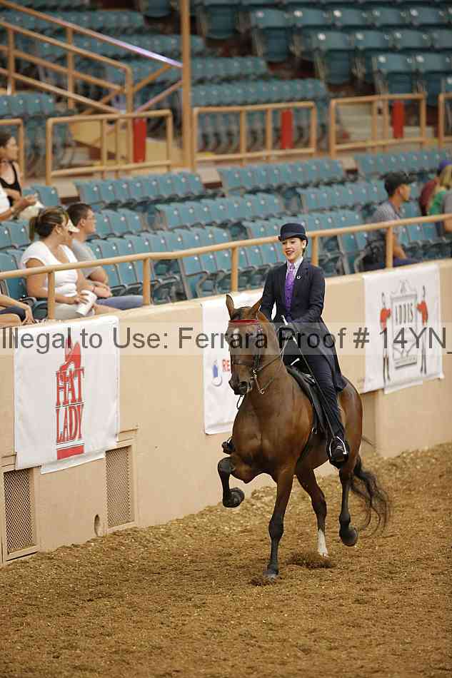Proof 14yn_09579