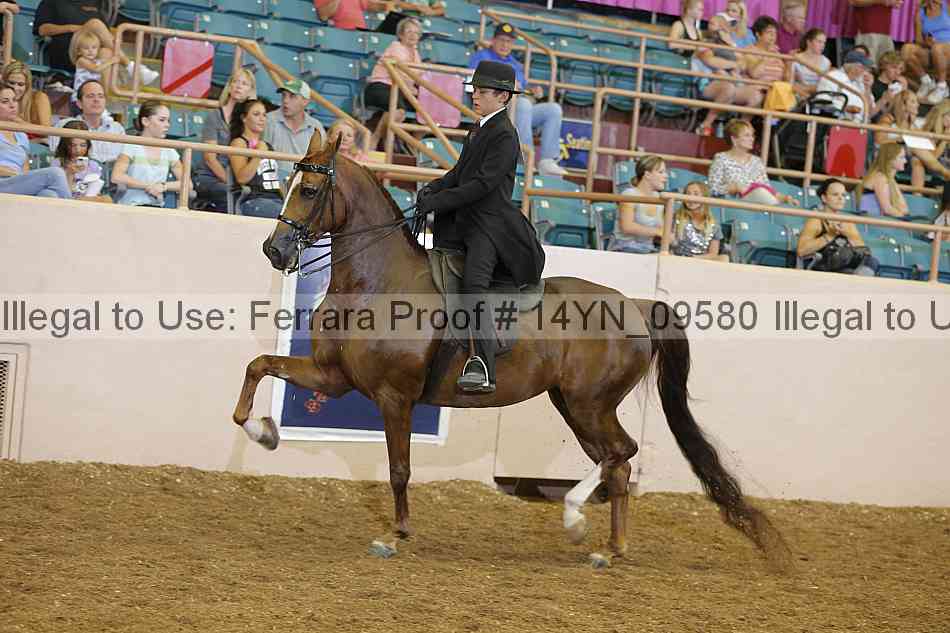 Proof 14yn_09580