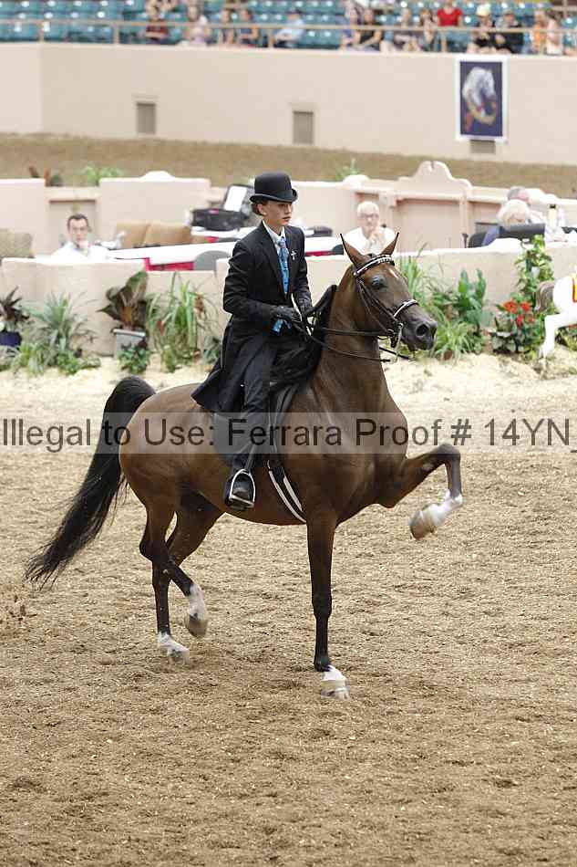 Proof 14yn_09581